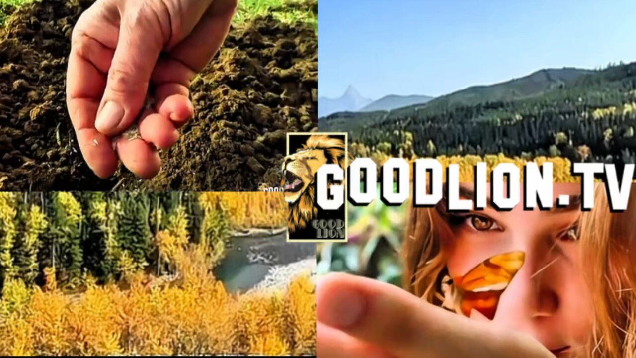 Climate Change Hoax Redux