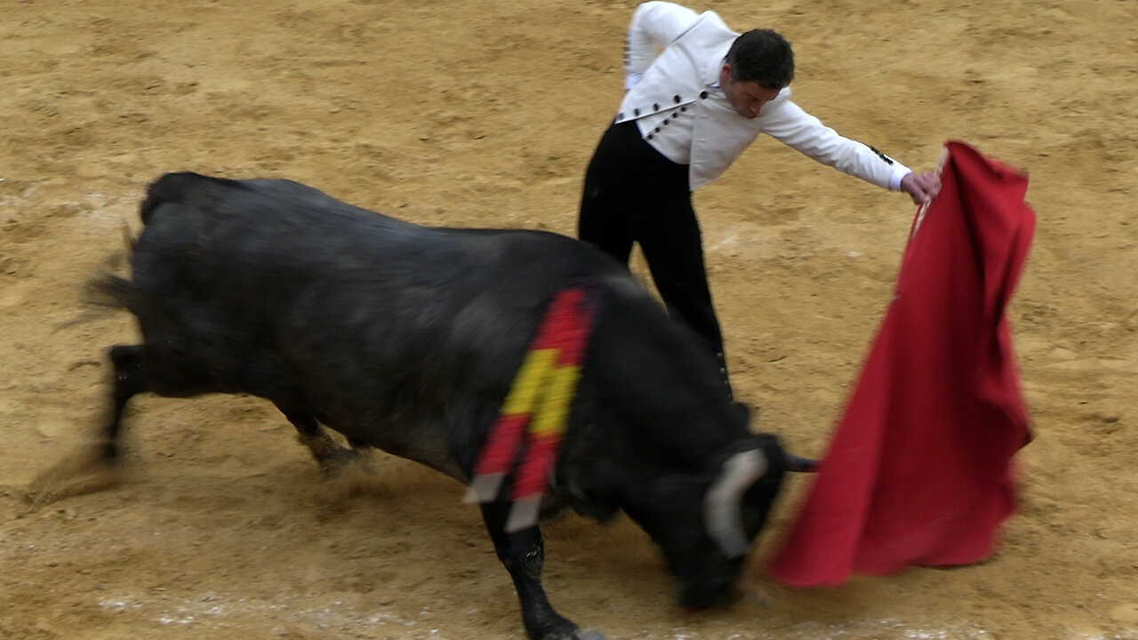 2025 02 15 LA VALL D'ALBA FESTIVAL DANA