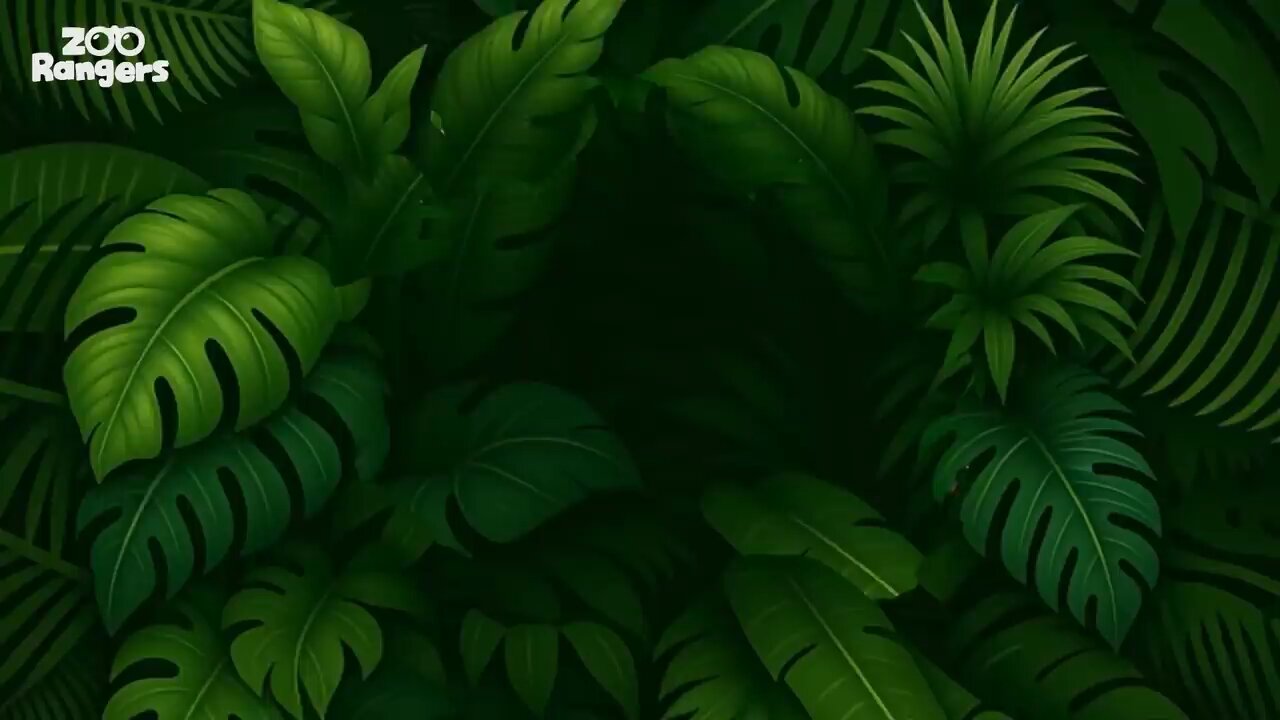 amazing zoo kids cartoon episode no 01