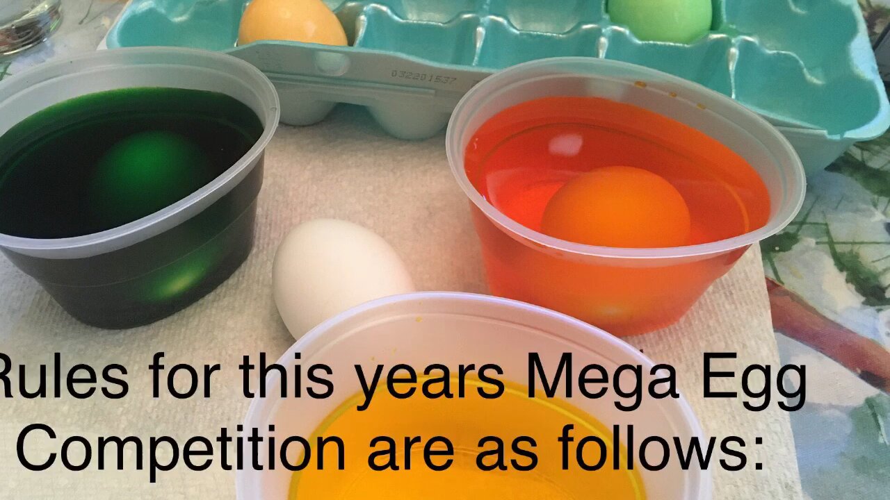 MegaEgg Rules 2025