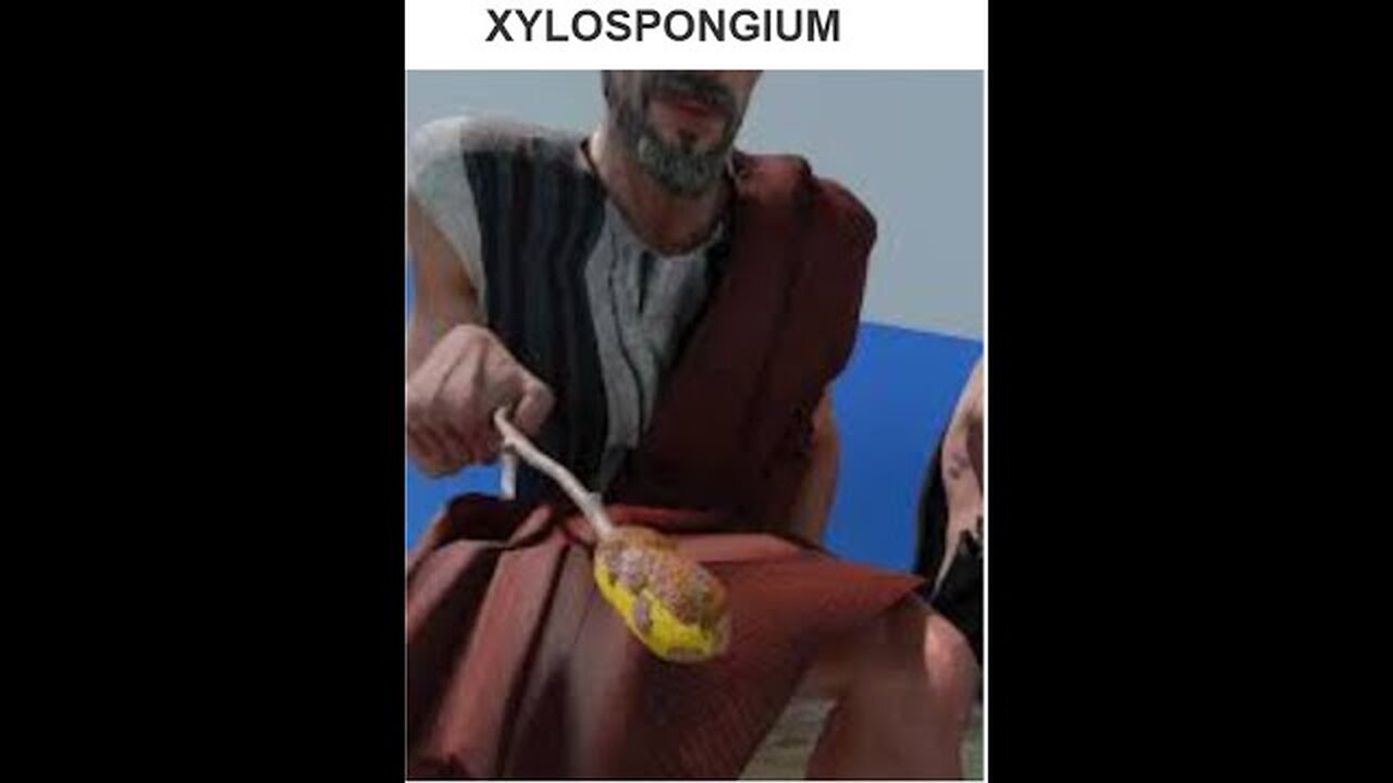 Treasonous COMEY -Look What u MADE Him Doo. Help Orchestrate a COUP. Open Wide XYlospongium. Evil