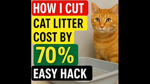 How to Make Cat Litter Last Longer — Save 70% on Litter Costs