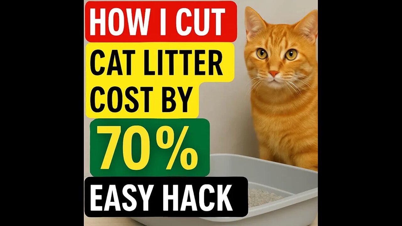 How to Make Cat Litter Last Longer — Save 70% on Litter Costs