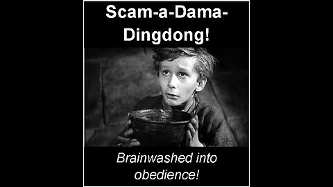Scam-a-Dama-Dingdong