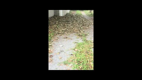 What the fuck is going on in Eastport Maine where I live has fall started already not September yet