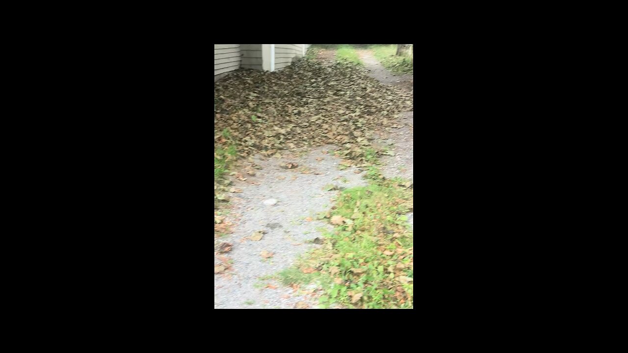 What the fuck is going on in Eastport Maine where I live has fall started already not September yet