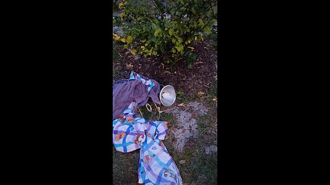 Florida Man Fomo Prepares for Coldest Night in 35 Years! 🥶