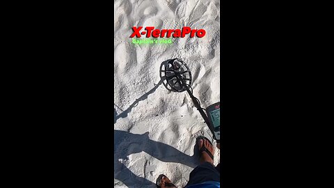 Beach Clean Up Metal Detecting Minelab X-TerraPro