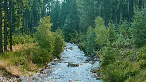 Relaxing Mountain Stream Sounds for Sleep - Nature Sounds, White Noise
