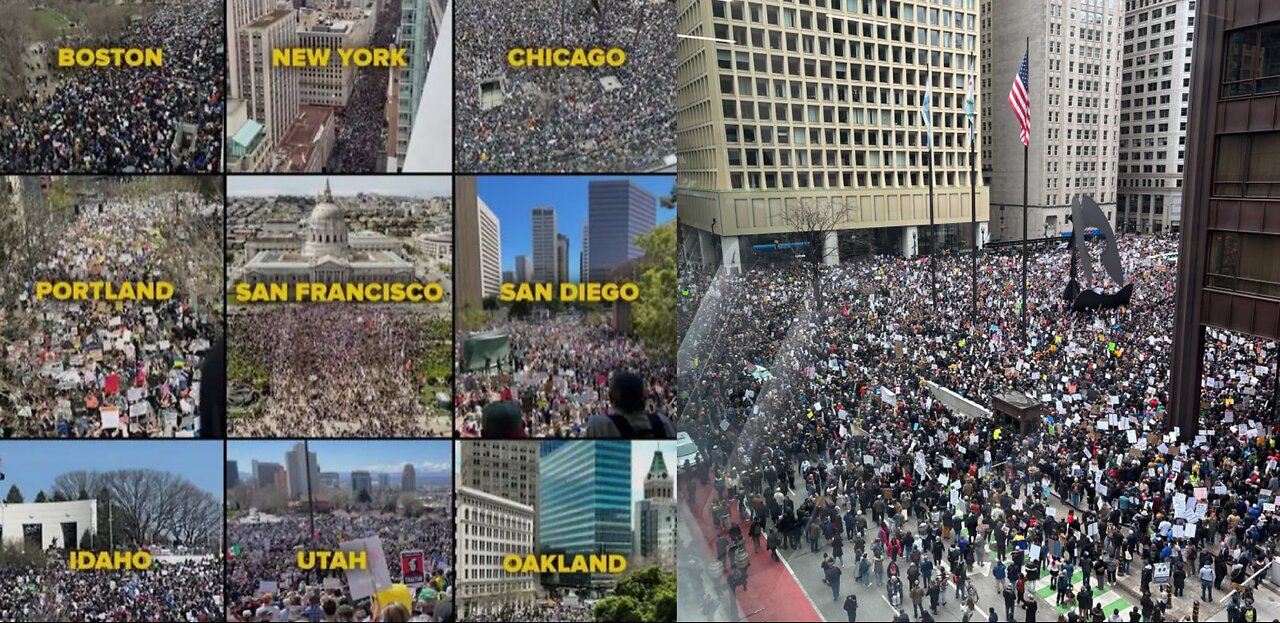 Trump Protests Over The Weekend & Democrats Trying To Gain Ground