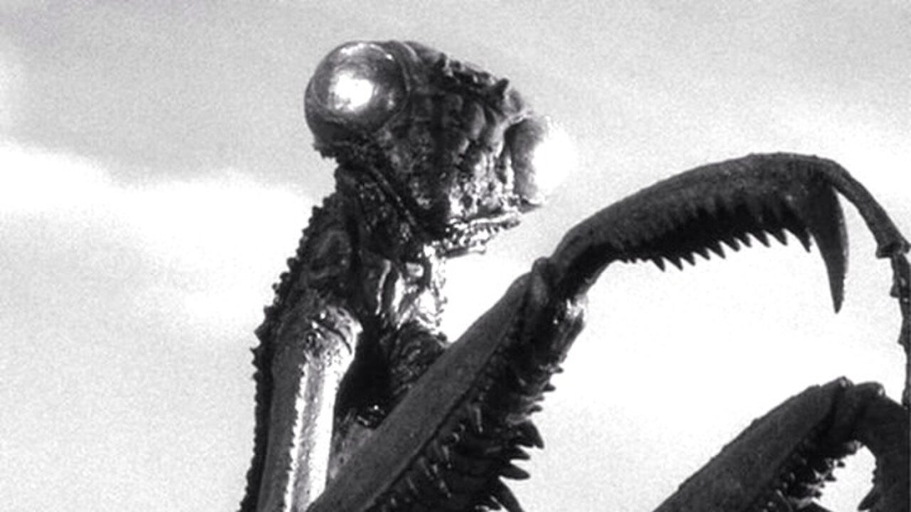 The Deadly Mantis-William Hopper, Alix Talton-1957 IMDB 5.2/10