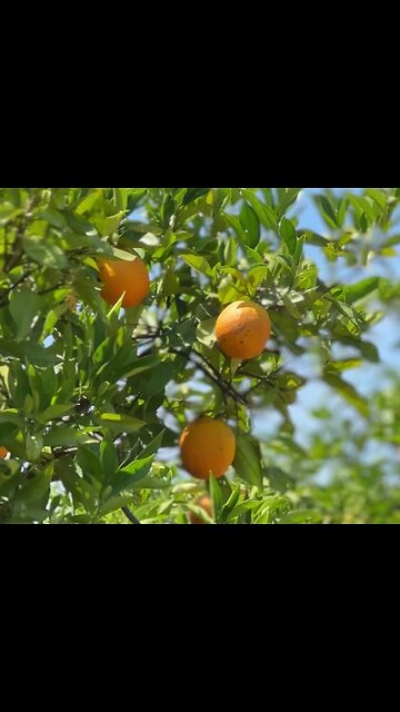 👀 Check out how the transformation of the office building is coming along!