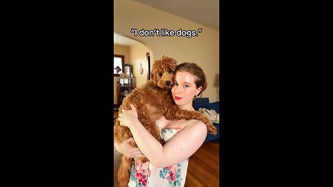 When Someone Says ‘I Don’t Like Dogs’… 🙄🐾