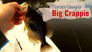 Crappie and a Manatee!
