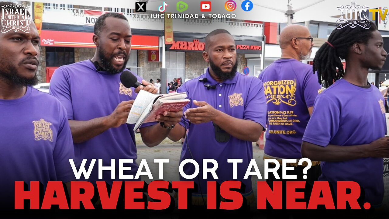 WHEAT OR TARE? HARVEST IS NEAR.