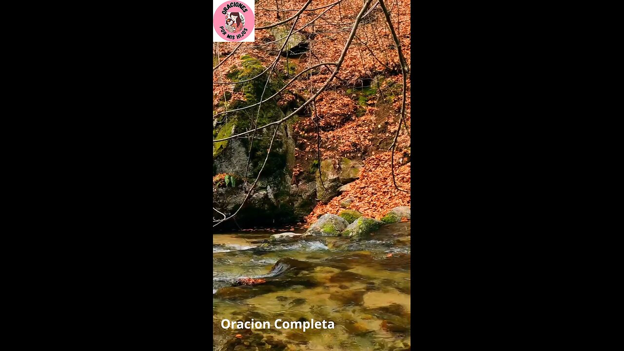 Oración Diaria por nuestros hijos 🙏