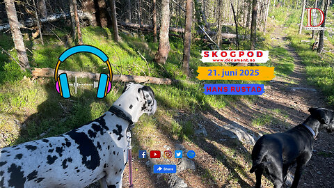 Skogpod 21. juni 2025