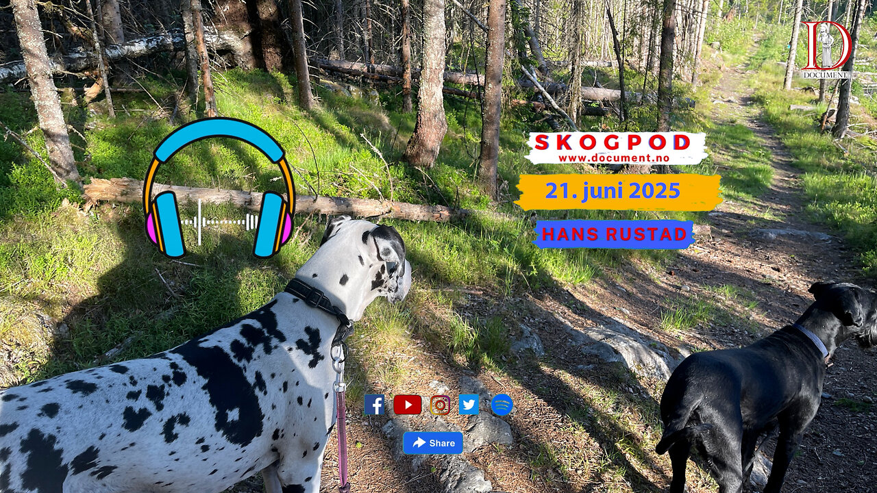 Skogpod 21. juni 2025