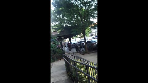 The NY Predators Dept officers engaging in stalking l, illegal surveillance and coercive threats.