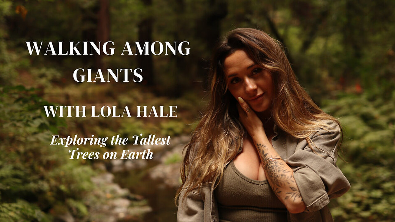 Lost in the Giants: Exploring California’s Magical Redwood Forest 🌲✨