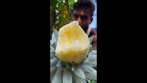 Best watery pineapple 🍍🍍🍍🍍#pineapple #fruit