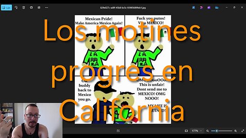 Los motines progres en California
