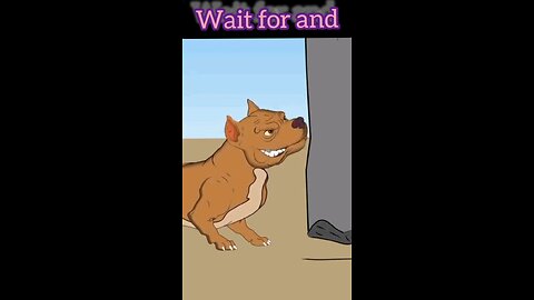 The dog already waiting for this 😅🤣🤣🤣
