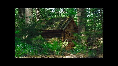 Overnight in a Cozy Forest Cabin 🌲 | ASMR Sounds for Deep Sleep & Relaxation