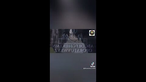 Decoding William Minerva: breaking down the codebook clues (page 13, point B0632) and viral fan