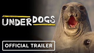 Underdogs - Official Trailer (2025) Ryan Reynolds