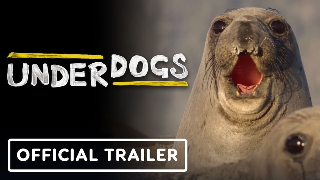 Underdogs - Official Trailer (2025) Ryan Reynolds