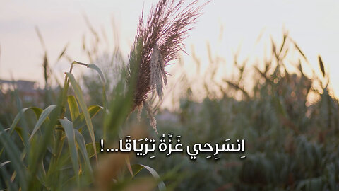 اِنسَرِحِي غَزَّةُ تِرْيَاقَا.. || قصيدة للشاعر مروان الخطيب رحمه الله