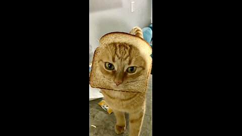 What you looking at?