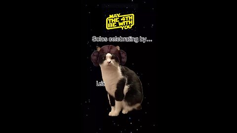 Happy Star Wars Day