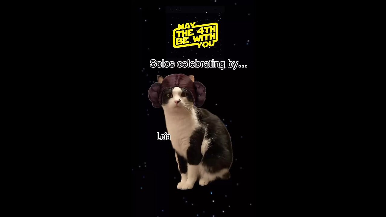 Happy Star Wars Day