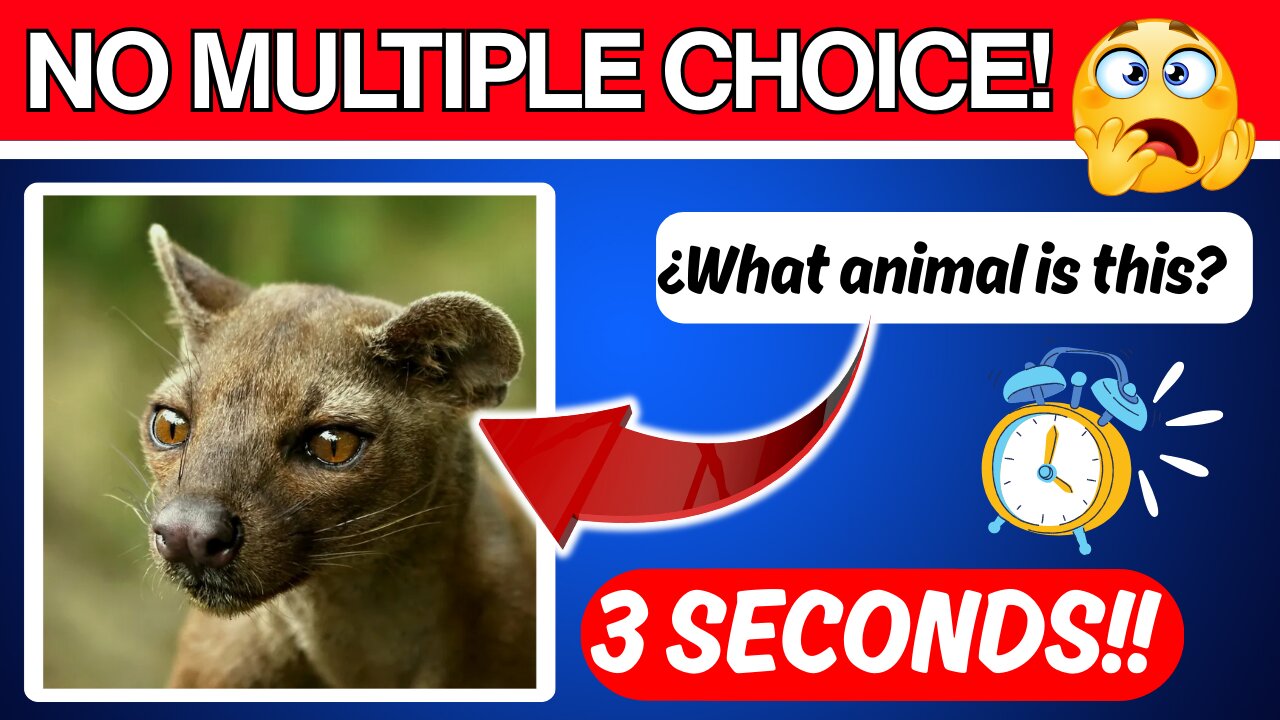 Can You Name These 20 Animals? Most People Can’t