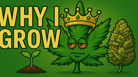 The Real Reason I Grow My Own Weed 👑🌿