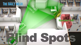 Epstein Blind Spots | Ep: 080125 The Daily MoJo