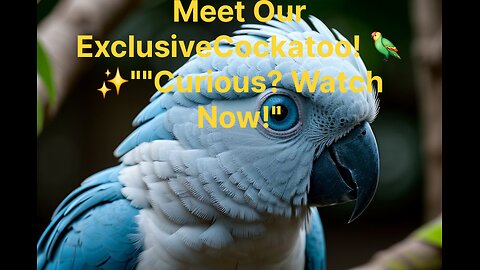 Meet the Charming Alexandrian Green Parrot and Its Quirks