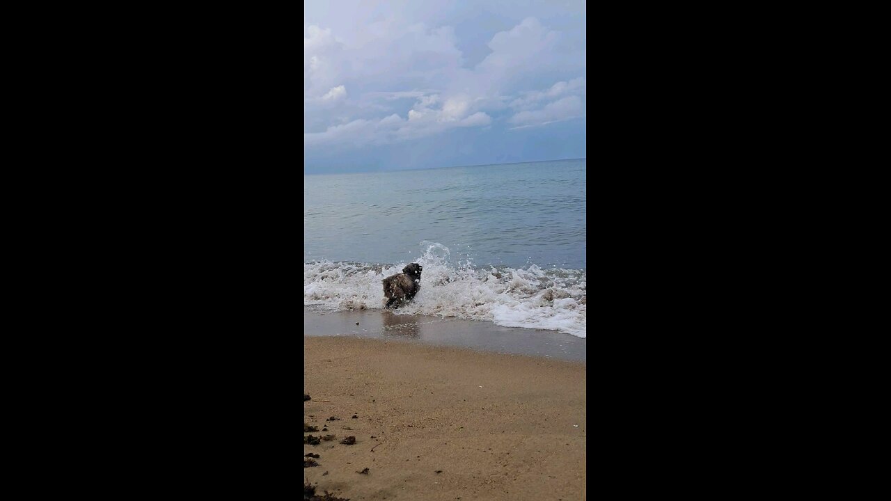 Ocean View