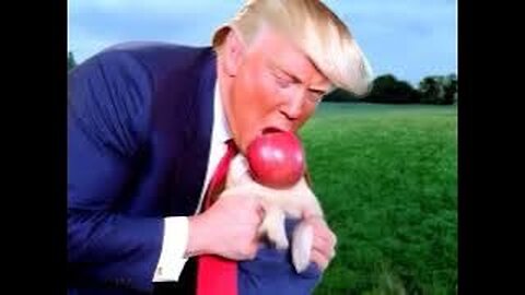 The AI Apple Dog Taking Over TikTok