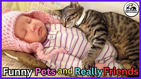 These Cat & Baby Duos Will Instantly Brighten Your Day! 🐱👶🌸