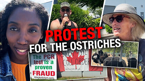 CFIA hides while protesters stand tall against healthy ostrich cull