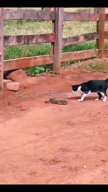 NEWSMAX2 LIVE | Real News for Real People? 🎉Happy birthday everyone🌞