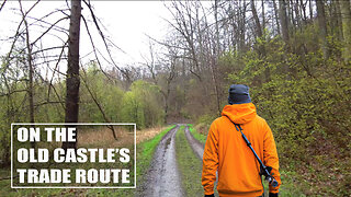 A Serene Forest Walk with Nature Sounds ASMR