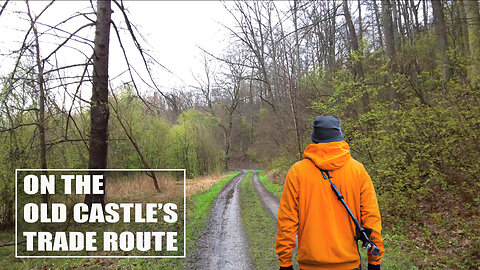 A Serene Forest Walk with Nature Sounds ASMR