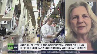Deindustrialisierung Deutschlands laut Kneissl seit Jahren absehbar