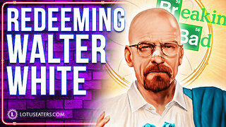 Walter White Did Nothing Wrong