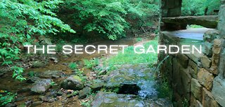 Secret Garden Meditation ASMR Soft Spoken Nature Birds Rain Rolling Thunder to Relax Sleep Dream