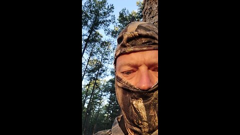 spooked mom and fawns